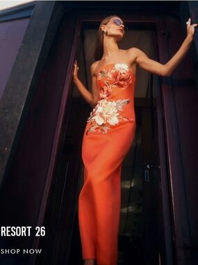 leo lin dress poshmark Leo Lin | Dresses | Leo Lin Rosario Appliqu Floral Bustier Mini Dress Lily  Print In Snow